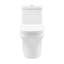 Vezina Elongated One-Piece Toilet