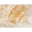 Lustre lumineux 20ème siècle Ormolu-91948954-91948953-91948952