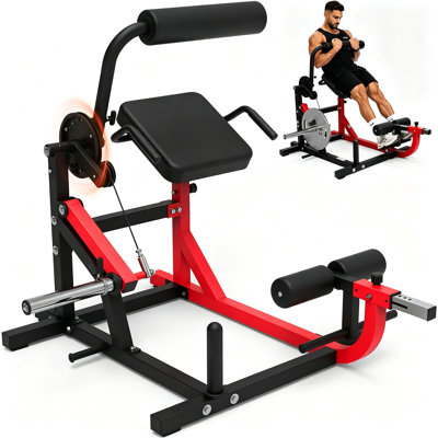 2-in-1 Ab Crunch & Back Extension Machine, Plate Loaded Core Trainer, Adjustable Rotary System, Compact Home & Garage Gym Equipment for Abdominal & Lower Back Workout