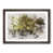 Walnut Framed selected