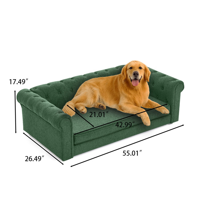 Canapé-lit Chesterfield avec dossier capitonné, coussin amovible et accoudoirs roulés classiques pour chiens de taille moyenne à grande