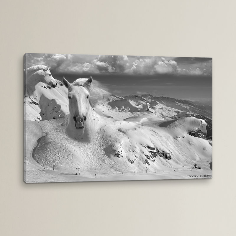 «Icy Studs», impression sur toile tendue encadrée, H 26 po x l 40 po x P 1,5 po, Pas de tapis, Toile tendue