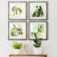 Cadre photo, ensemble de peintures sur papier