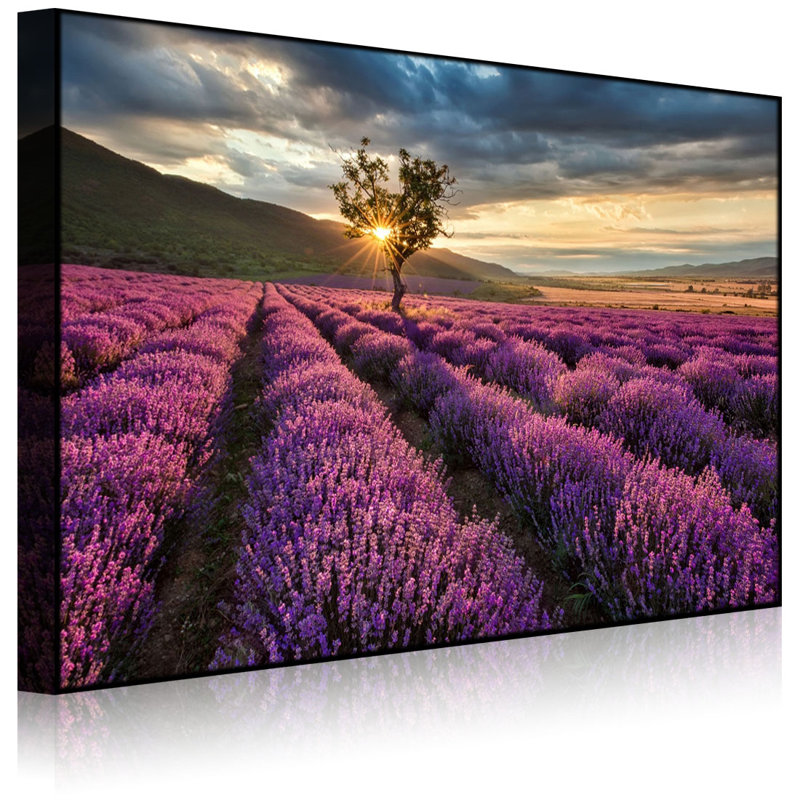 Fantastic Lavender Provence With Lonely Tree by No - Wrapped Canvas Print, Without lighting, 60cm H x 80cm W x 4.5cm D