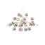 Gael 10 - Light Chandelier-14278000