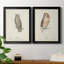 Scops - Eared Owl - Ensemble de 2 peintures sur toile encadrées-1040616801-1040616802