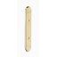 Brass Back Plate