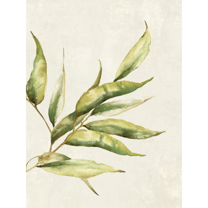 «Willow Branch I» sur toile par Eva Watts, H 24 po x l 18 po