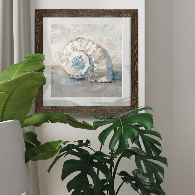 Blue Shell Study III-impression de cadre photo sur papier, H 35,5 po x l 35,5 po x P 1,5 po, Papier, cadre noyer