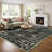 Machine Washable Vintage Oriental Area Rug Non-Slip Backing Black/Beige/Gray Indoor Carpet for Living Room, Bedroom, Hallway Runner-1110745691-1110745686