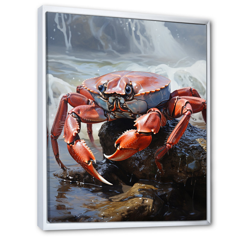 «Wystand Crab Coastal Sentry», reproduction sur toile, H 20 po x l 12 po, Cadre flottant blanc