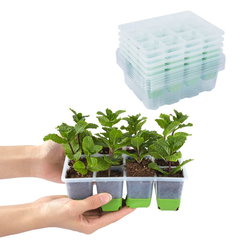 Ensemble de 5 ensembles de démarrage de semis - plateaux de plantation réutilisables de 60 cellules avec une conception facile à pousser pour les semis de jardin d'intérieur