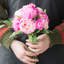 Arrangement floral pivoine dans un vase