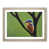 Oak Frame selected