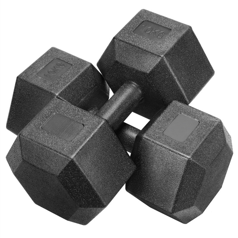 Hex Dumbbells Set for Strength Workouts, 44 LB