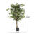 70.9'' Faux Ficus Tree in Pot-378567687