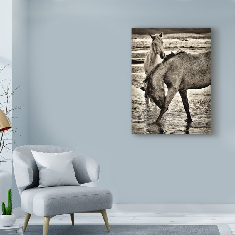 « beach horses i », reproduction de photo sur toile tendue, H 19 po x l 14 po x P 2 po