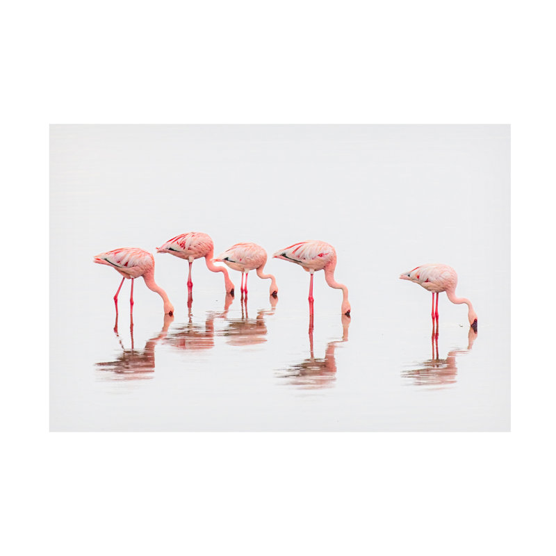 «Flamants dans la brume sur toile» par Jeffrey C., H 30 po x l 47 po x P 2 po