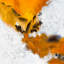 Larvos Volcanic Abstract Oil Painting