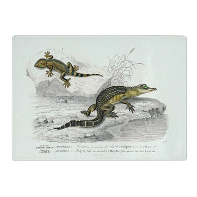 Tempered Glass Alligator and Lizard Illustration by Charles D' Orbigny Chopping Board