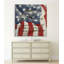 « america », reproduction d’impression sur toile tendue-22499776