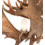 64" Wide Antlers Moose 12 Light Chandelier