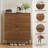 Medieval Modern Independent Shoe Cabinet, 31.5-Inch Walnut Shoe Storage Cabinet,, Fence Shoe Cabinet With 2 Flip Drawers, Suitable For Corridors And Entrances-981327486