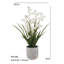 26" Artificial White Orchid in Vanda Pot