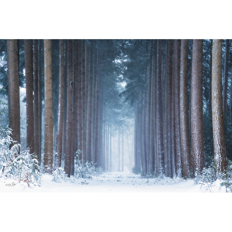 " Polar Winter " by Martin Podt, 8" H x 12" W, No, Wrapped Canvas