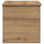Camp Trunk / Footlocker-8069501