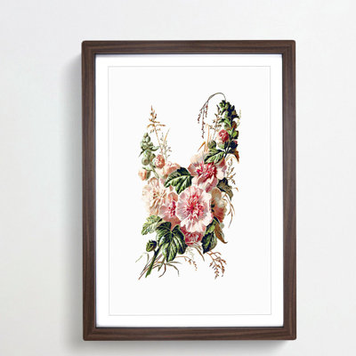 Hollyhock Flower Illustration - Framed Print