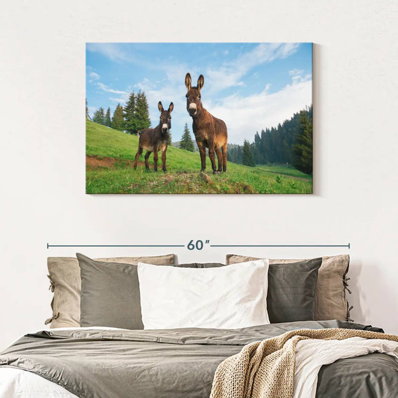 Brampt Wild Transylvanian Donkeys, 30'' H x 45'' W