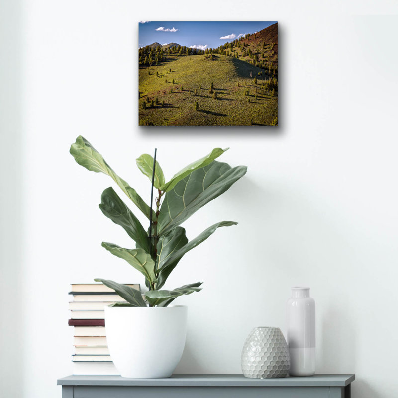 Art mural en verre Latitude Run® «Galena Summit» par Rick Berk, H 12 po x l 16 po x P 0,13 po