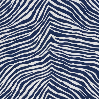 Iconic Zebra Fabric