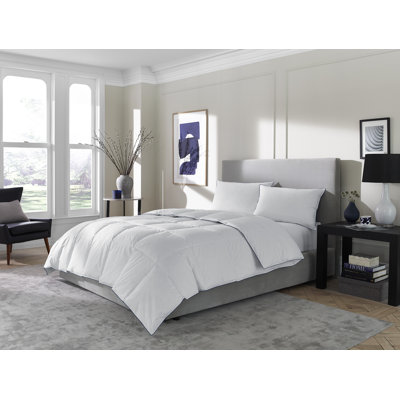 300in³/oz Fill Power All Season Down Blend Down Comforter