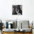 Brampt Sheltie On Gray-109231838