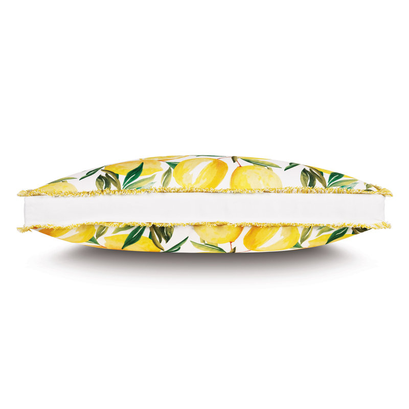 Meyer Lemon Reversible Throw Pillow