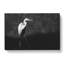 Stork Bird - Wrapped Canvas Painting-56645666