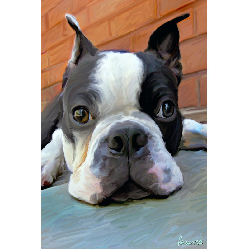 Moxley Boston Terrier by Robert McClintock - Wrapped Canvas Print, 46cm H x 30cm W