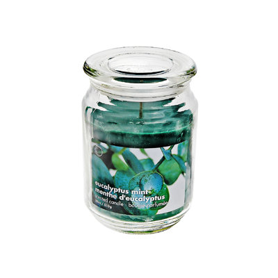 Bougie parfumée eucalyptus menthe