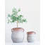 Terracotta Table Vase