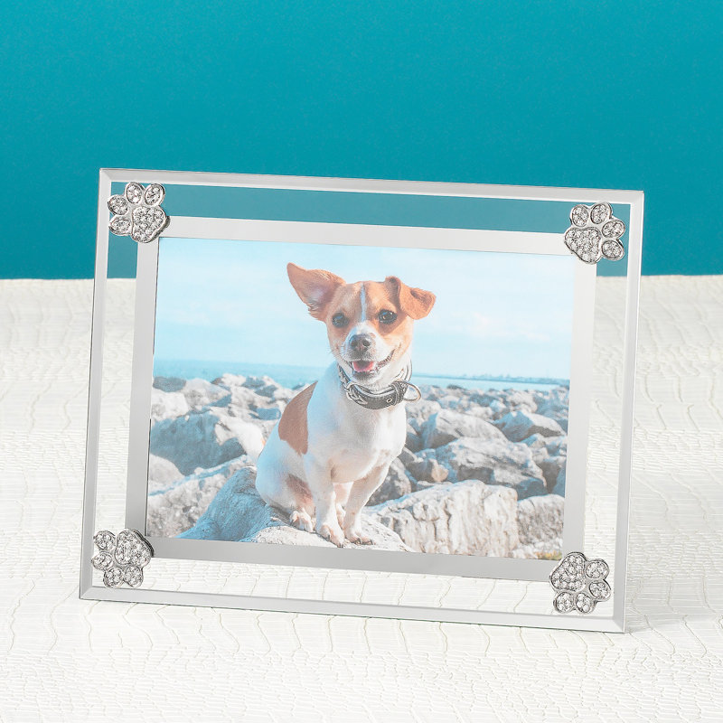 Paw Print Metal Picture Frame, 4" x 6"