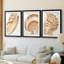 «Vintage Shell Vignette I», impression encadrée sur mesure de qualité supérieure mate - 3 pièces-2126711607-2126711601