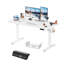 Steel Standing Desk