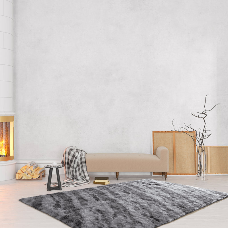 Tapis moelleux à poils longs Wymond, Rectangle 4pi x 6 pi