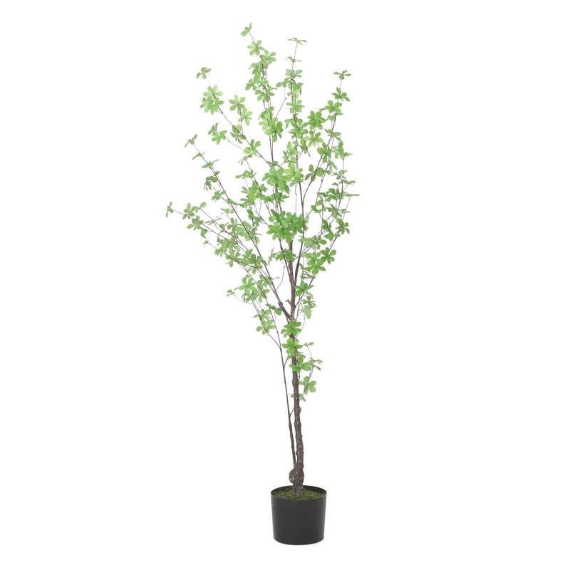 59.1" Artificial Disc Leaf Tree – Indoor Decorative