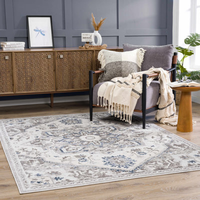 Katriena Orienta Gray Area Rug