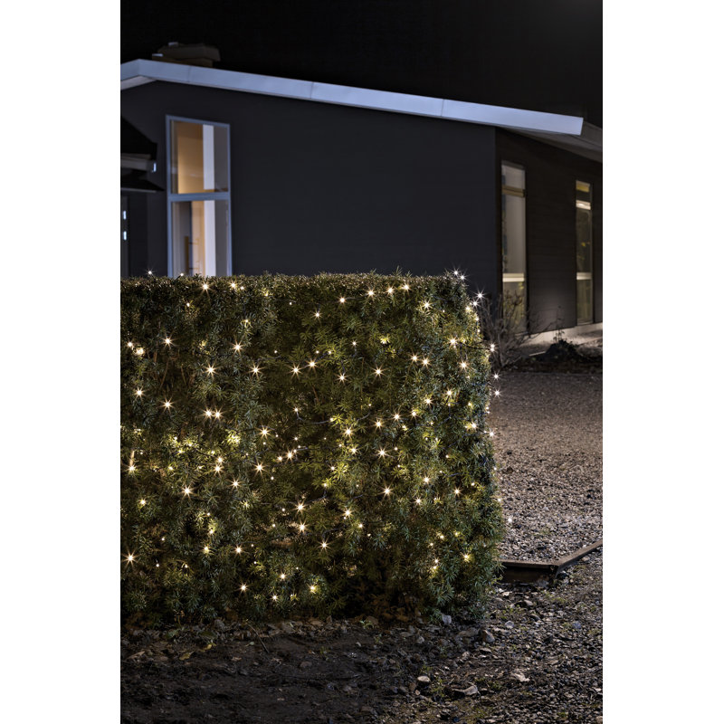 24.5cm LED Battery Powered 240 - Bulb Fairy String Light, Warm white and black