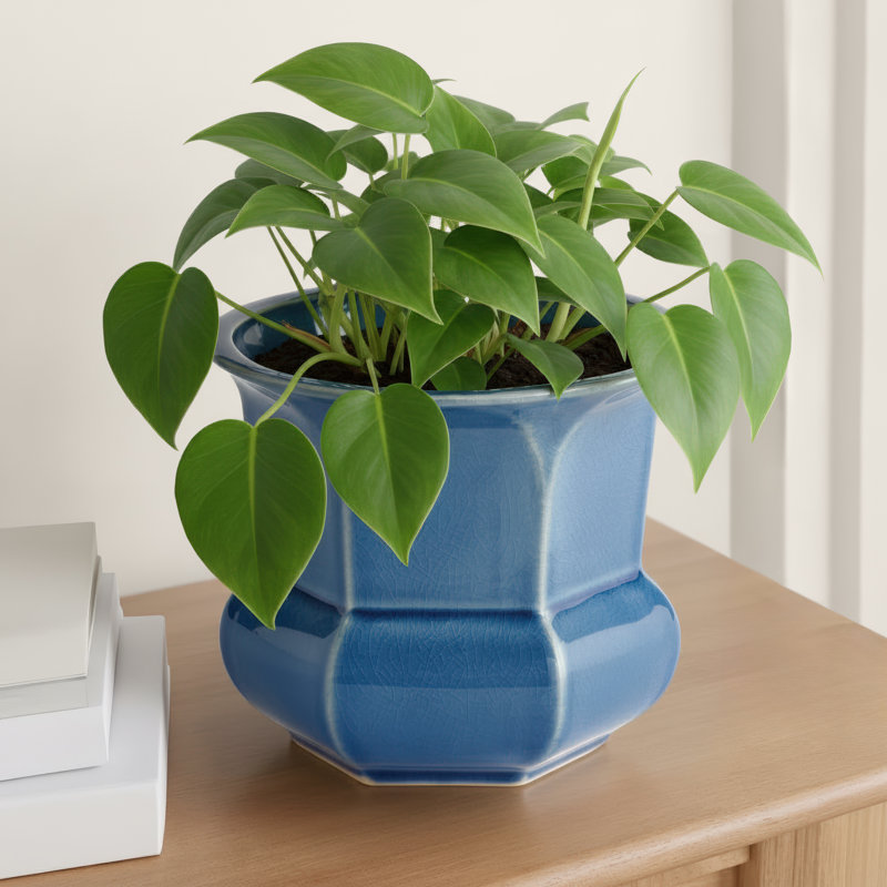 Ceramic Pot Planter, Blue