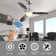 Conklin 48'' Ceiling Fan with LED Lights